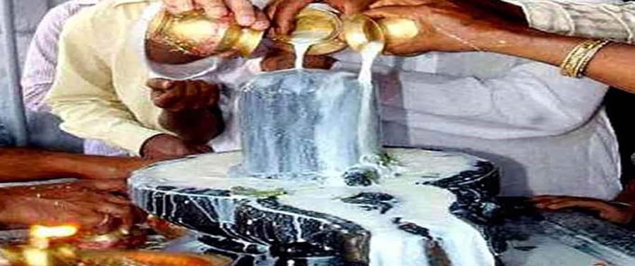 top pandit in trimbakeshwar